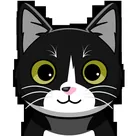 Azqato profile photo