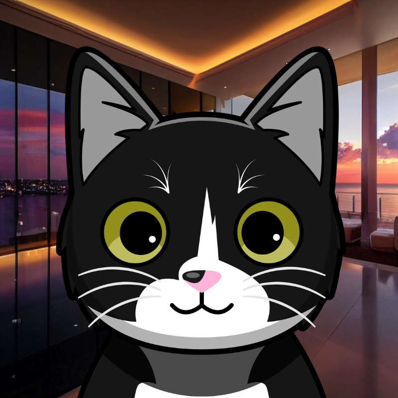 Azqato Streams